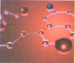 Figura 3 de Ciencias Naturales · 8 EGB · 2025