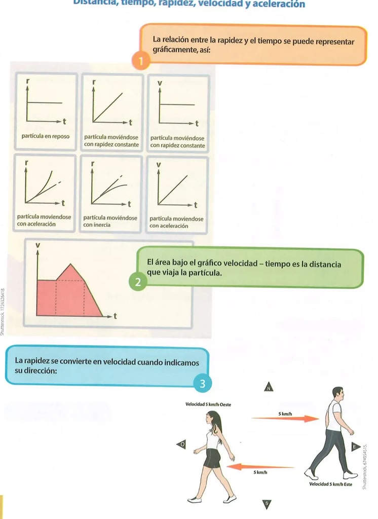 Figura 1 de Ciencias Naturales · 8 EGB · 2025