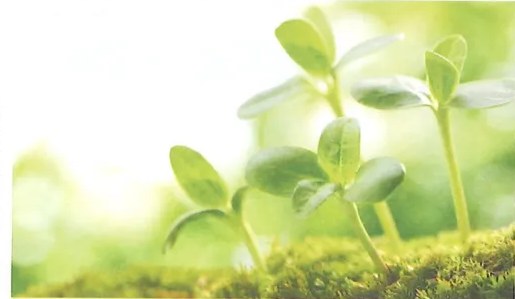 Figura 3 de Ciencias Naturales · 7 EGB · 2024