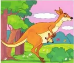 Tabla con cinco clases de conectores ilustradas con burro, jirafa, elefante.