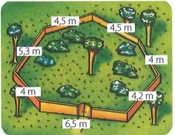 Figura 2 de Matematica · 7 EGB · 2024