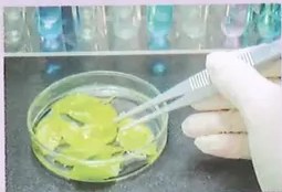 Figura 3 de Ciencias Naturales · 10 EGB · 2024