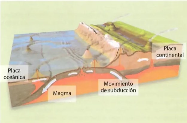 Figura 3 de Estudios Sociales · 8 EGB · 2024