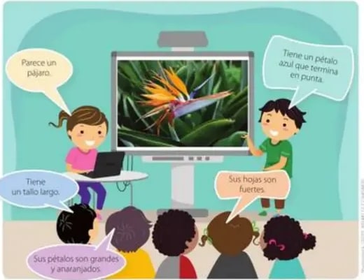 Estudiantes haciendo exposición sobre la flor Ave del Paraíso.