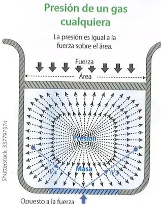Figura 2 de Ciencias Naturales · 10 EGB · 2024