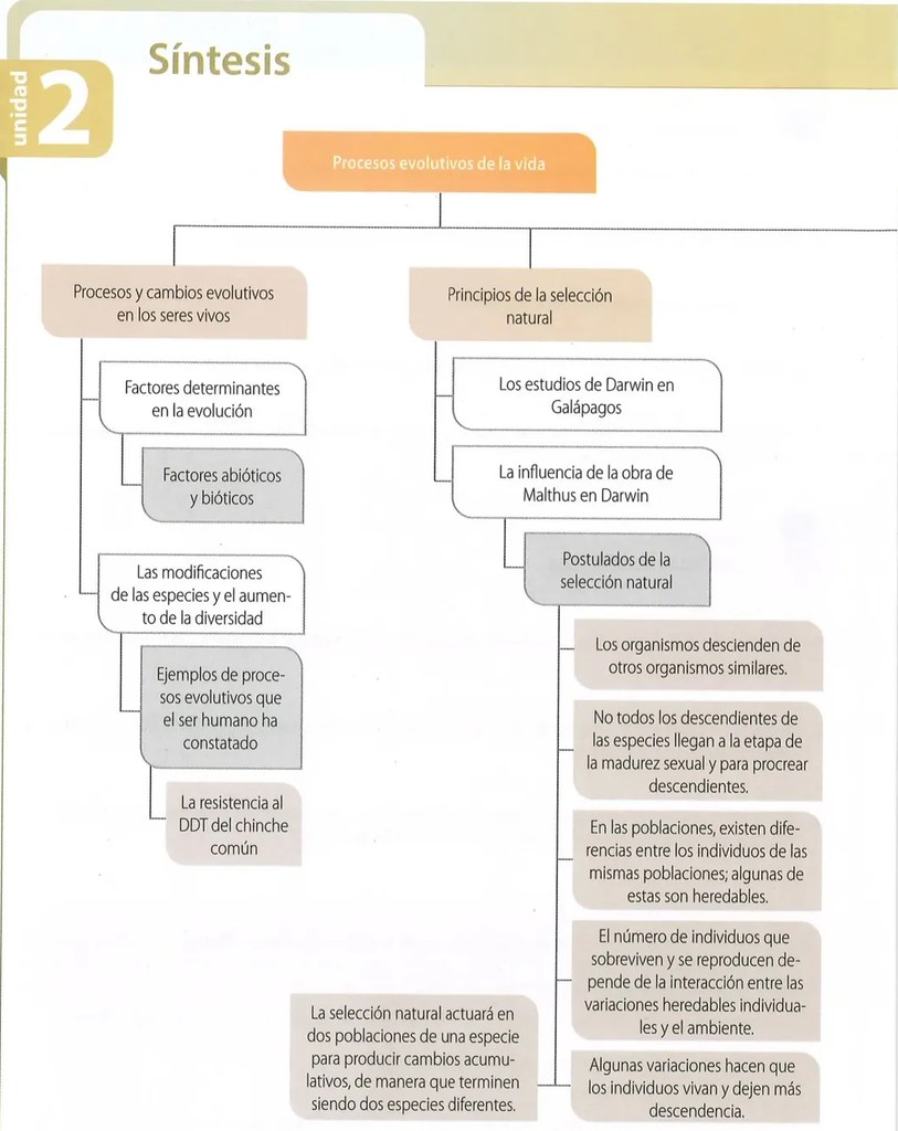 Figura 2 de Ciencias Naturales · 10 EGB · 2024
