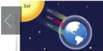 Figura 4 de Ciencias Naturales · 5 EGB · 2024