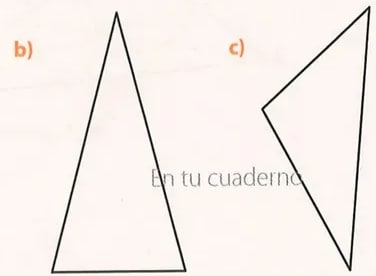 Figura 5 de Matematica · 8 EGB · 2025