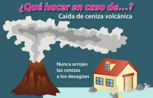 Figura 4 de Lengua Y Literatura · 5 EGB · 2024
