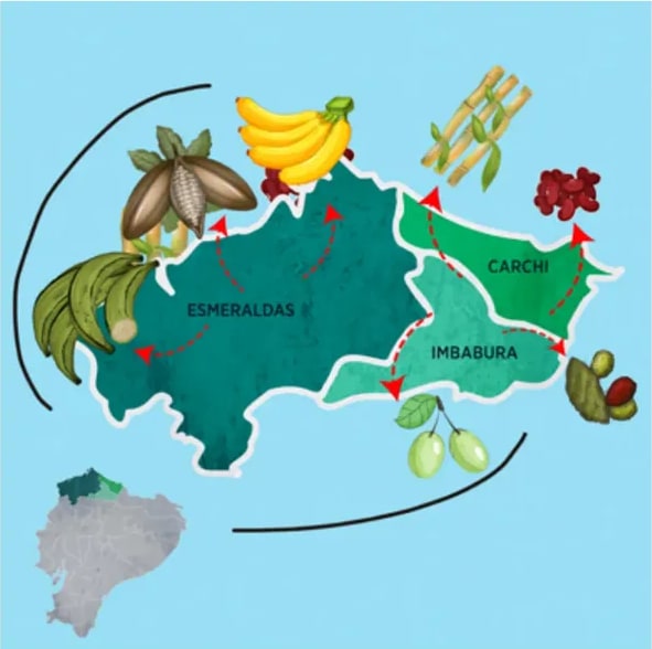 Mapa estilizado de Ecuador con tres provincias marcadas (Esmeraldas, Carchi, Imbabura) rodeado de productos agrícolas afro: banano, plátano, cacao, caña, café, aceitunas.
