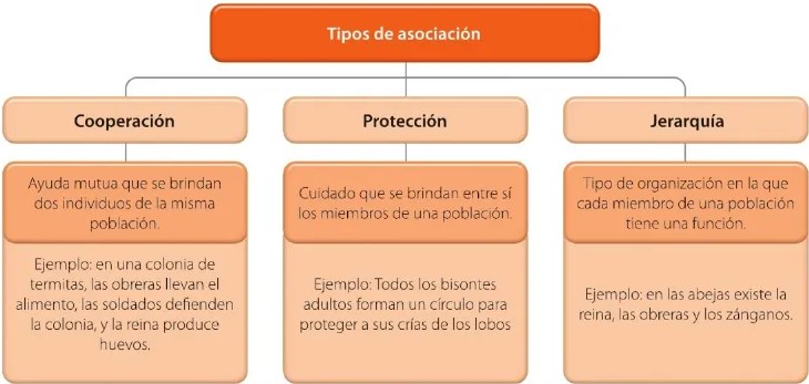 Figura 2 de Ciencias Naturales · 6 EGB · 2025