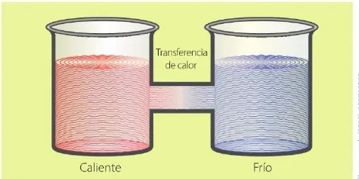 Figura 2 de Ciencias Naturales · 6 EGB · 2025