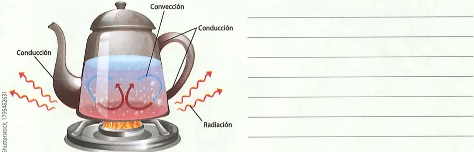 Figura 2 de Ciencias Naturales · 7 EGB · 2024
