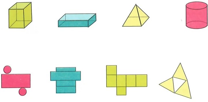 Figura 4 de Matematica · 7 EGB · 2024