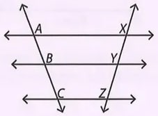 Figura 9 de Matematica · 8 EGB · 2025