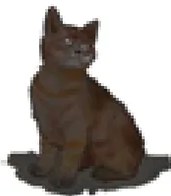 Fotografía de dos gatos marrones/oscuros sentados juntos, ilustrando el plural 'phisinaka' (gatos) de la segunda tabla con el sufijo -naka.