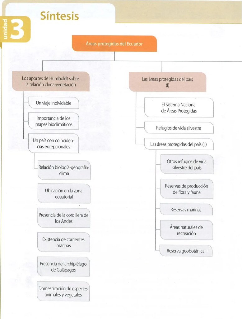Figura 2 de Ciencias Naturales · 9 EGB · 2024