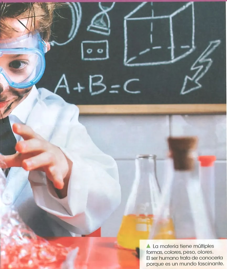 Figura 1 de Ciencias Naturales · 2 EGB · 2025