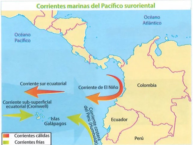 Figura 3 de Ciencias Naturales · 9 EGB · 2024
