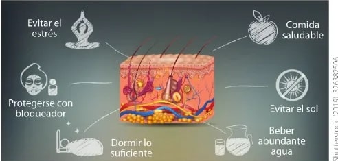 Figura 3 de Ciencias Naturales · 6 EGB · 2025