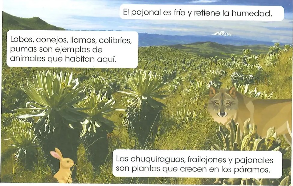 Figura 2 de Ciencias Naturales · 2 EGB · 2025