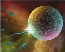 Figura 4 de Ciencias Naturales · 6 EGB · 2025