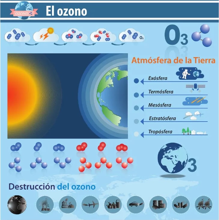 Figura 1 de Ciencias Naturales · 6 EGB · 2025