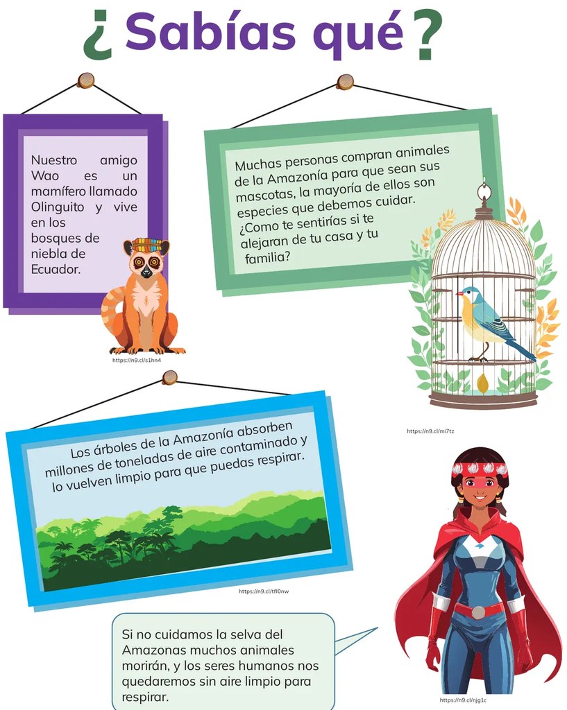 Cuadro verde colgado con dato sobre animales silvestres y dibujo de un pájaro en jaula.