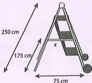 Figura 8 de Matematica · 10 EGB · 2025