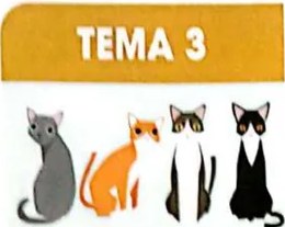 Figura 4 de Matematica · 3 EGB · 2025