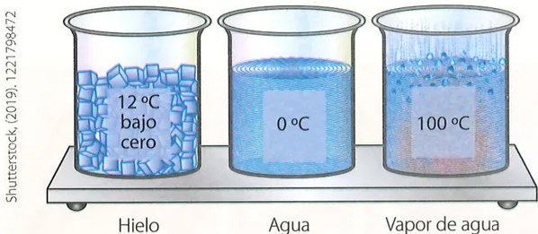 Figura 2 de Ciencias Naturales · 7 EGB · 2024