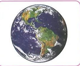 Figura 3 de Lengua Y Literatura · 7 EGB · 2024