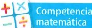 Figura 4 de Matematica · 7 EGB · 2024