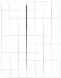 Figura 5 de Matematica · 7 EGB · 2024