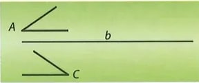 Figura 11 de Matematica · 8 EGB · 2025