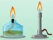 Figura 5 de Ciencias Naturales · 6 EGB · 2025