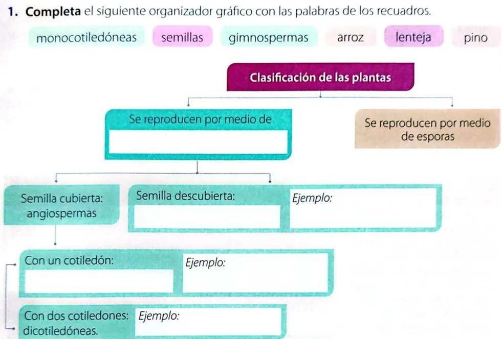 Figura 2 de Ciencias Naturales · 4 EGB · 2025