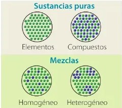 Figura 4 de Ciencias Naturales · 6 EGB · 2025