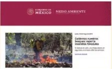 Figura 3 de Estudios Sociales · 6 EGB · 2025