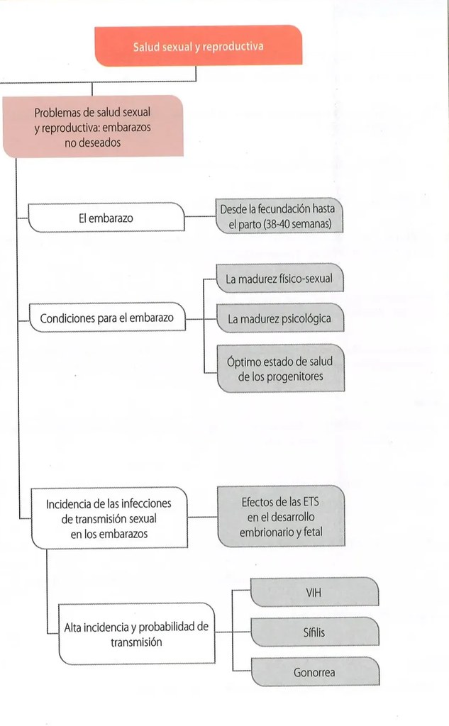 Figura 2 de Ciencias Naturales · 10 EGB · 2024
