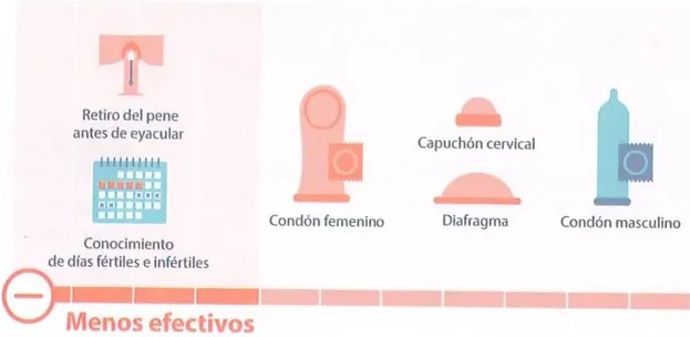 Figura 7 de Ciencias Naturales · 10 EGB · 2024
