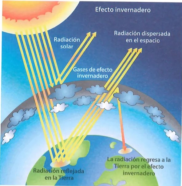 Figura 2 de Ciencias Naturales · 7 EGB · 2024