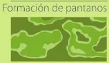 Figura 13 de Ciencias Naturales · 6 EGB · 2025