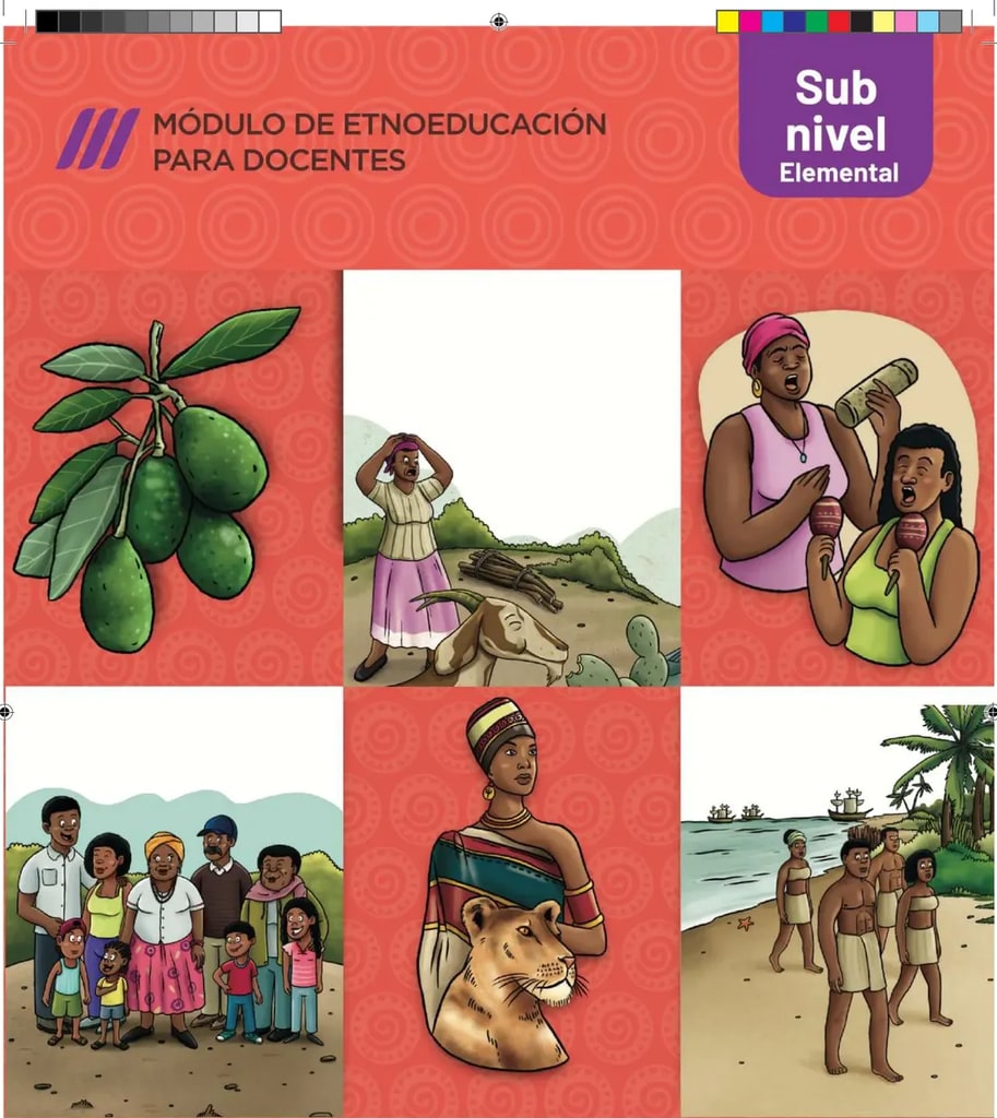 Ilustración de una rama con frutos verdes (posiblemente guabas o frutos tropicales) sobre fondo blanco.