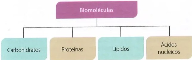 Figura 2 de Ciencias Naturales · 10 EGB · 2024
