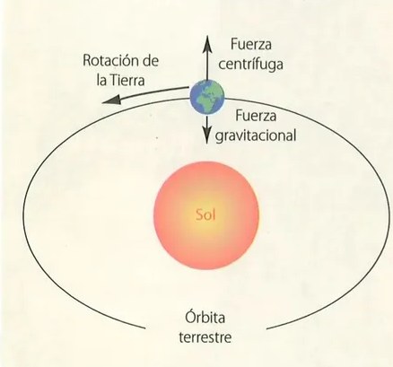 Figura 3 de Ciencias Naturales · 10 EGB · 2024