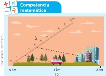Figura 4 de Estudios Sociales · 6 EGB · 2025