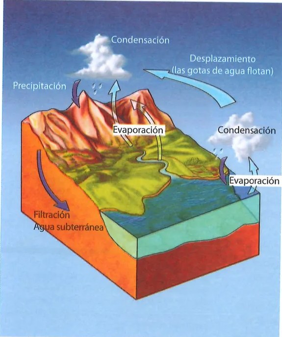 Figura 3 de Ciencias Naturales · 7 EGB · 2024