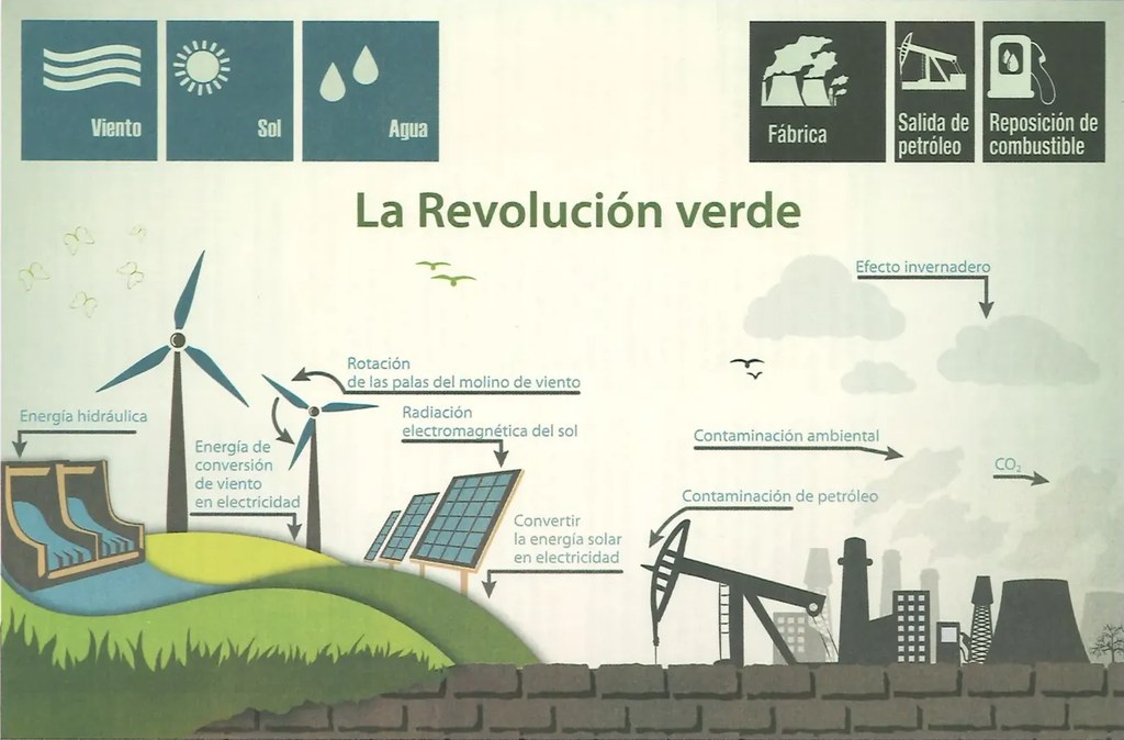 Figura 2 de Ciencias Naturales · 8 EGB · 2025