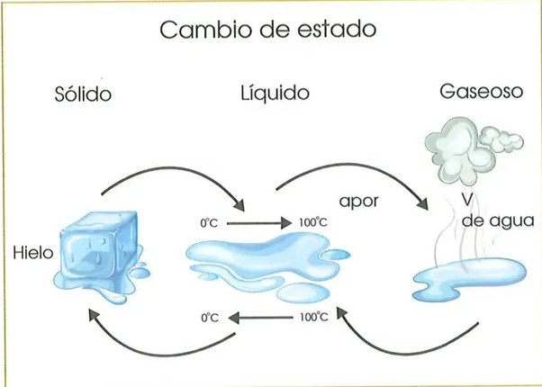 Figura 2 de Ciencias Naturales · 2 EGB · 2025
